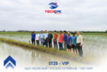 Techpal ThiẾt LẬp ThÊm VÙng TrỒng NhẰm TĂng SẢn LƯỢng GẠo Cho CÁc VỤ TỚi